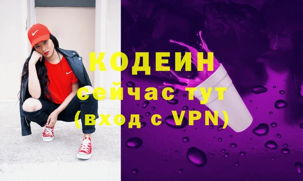 2c-b Горно-Алтайск