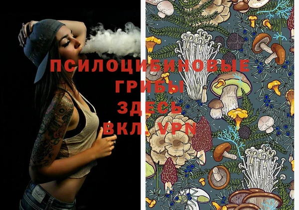 марки lsd Фурманов