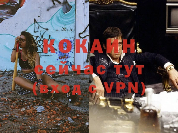 мяу мяу мука Горняк