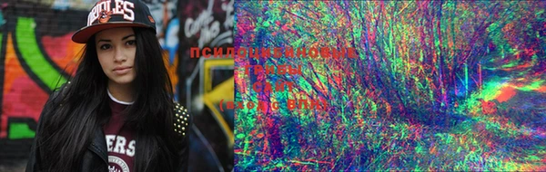 марки lsd Гусиноозёрск