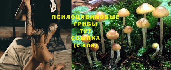 Альфа ПВП Горнозаводск