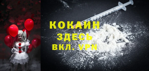 2c-b Горно-Алтайск
