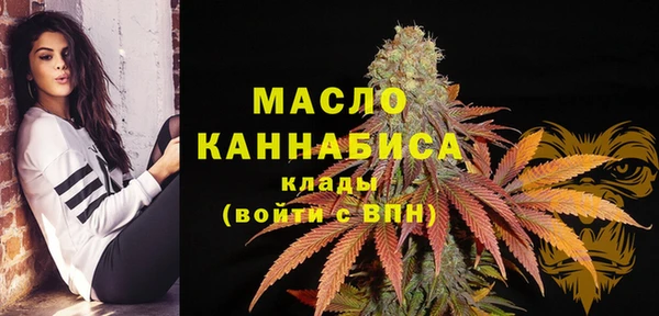 Альфа ПВП Горнозаводск