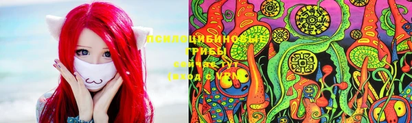 2c-b Горно-Алтайск