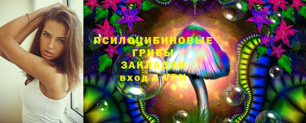 мяу мяу мука Горняк
