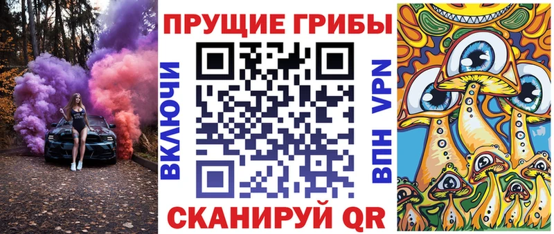 даркнет сайт  Завитинск  Галлюциногенные грибы Magic Shrooms 